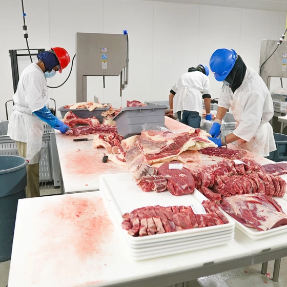 Zen HR Consultant - Recrutare și import forță de muncă, muncitori specializați și nespecializați în industria alimentara